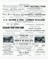 Advertisement 4, Cass County 1905